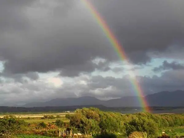 Rainbow