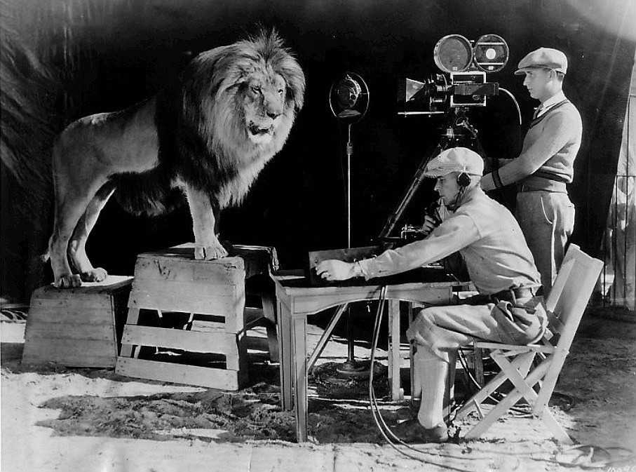 The lion, known as of Cairbre, used to introduce Metro-Goldwyn-Meyer films, born in Dublin
