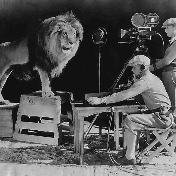 The lion, known as of Cairbre, used to introduce Metro-Goldwyn-Meyer films, born in Dublin
