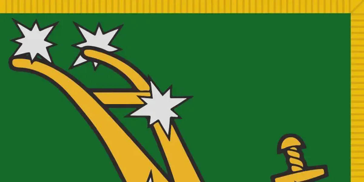 /images/tich/Starry_Plough_flag_Irish_Citizen_Army.webp