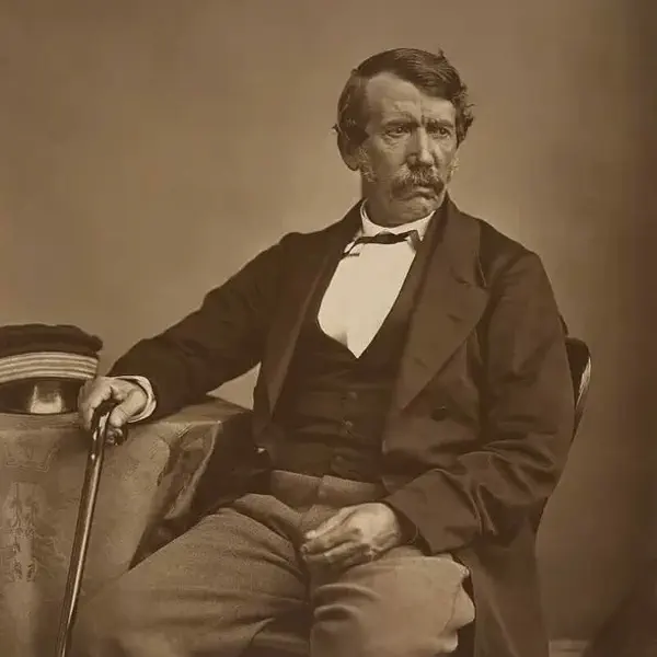 David Livingstone reached Victoria Falls in Africa